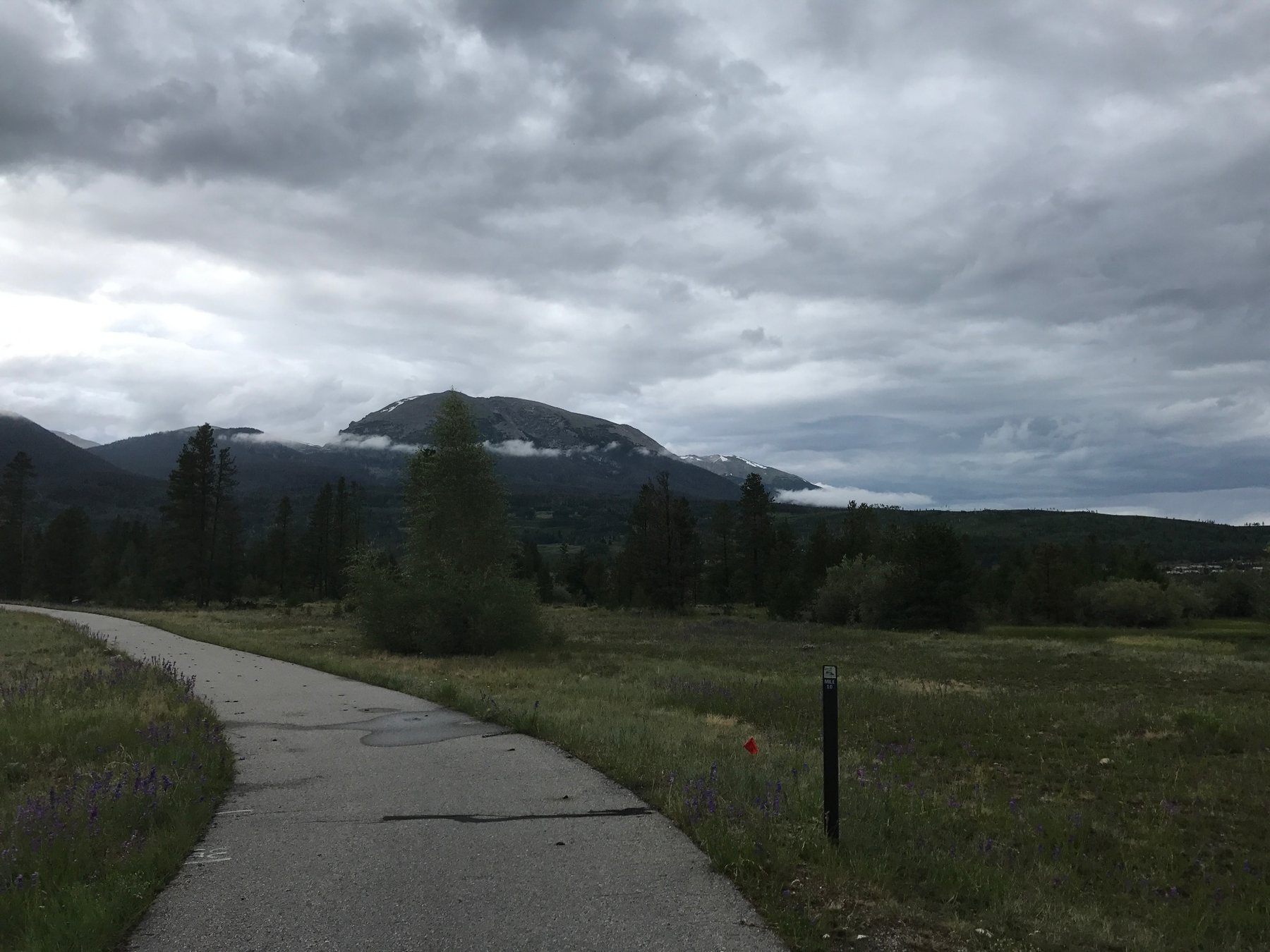 Path leading through a meadow toward mountains beneath dark clouds