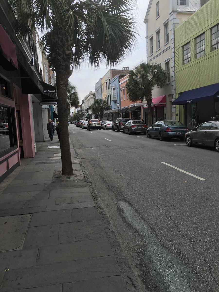 Urban street lined with storefronts, palm trees, parked cars, and pedestrians