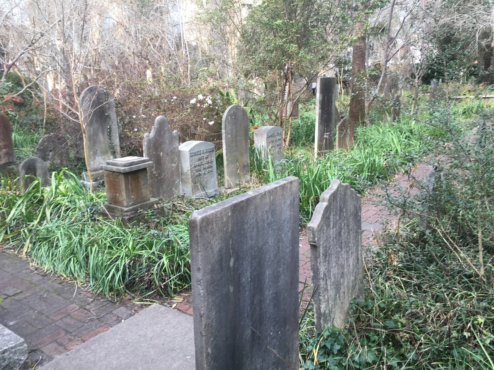 Historic cemetery with weathered gravestones surrounded by vegetation